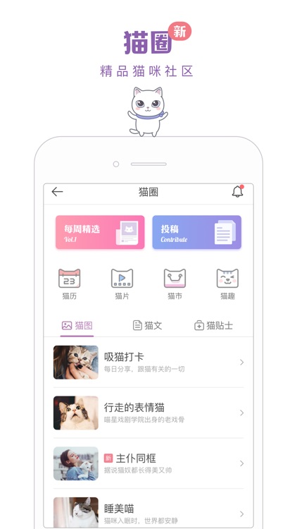 猫咪社区
