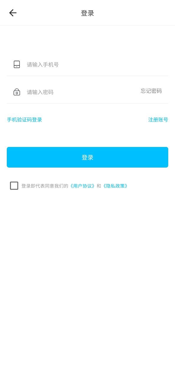 小鲸鱼