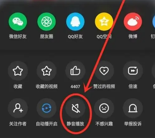 UC浏览器静音播放设置