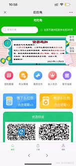 吃吃龟