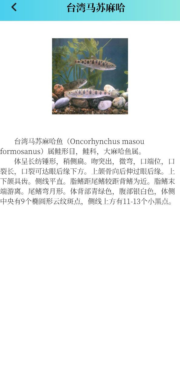 潮汐精灵
