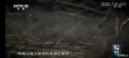 免费下载起帆TV
