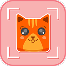 猫脸相机安卓版v3.0_2023最新版安卓猫脸相机app下载