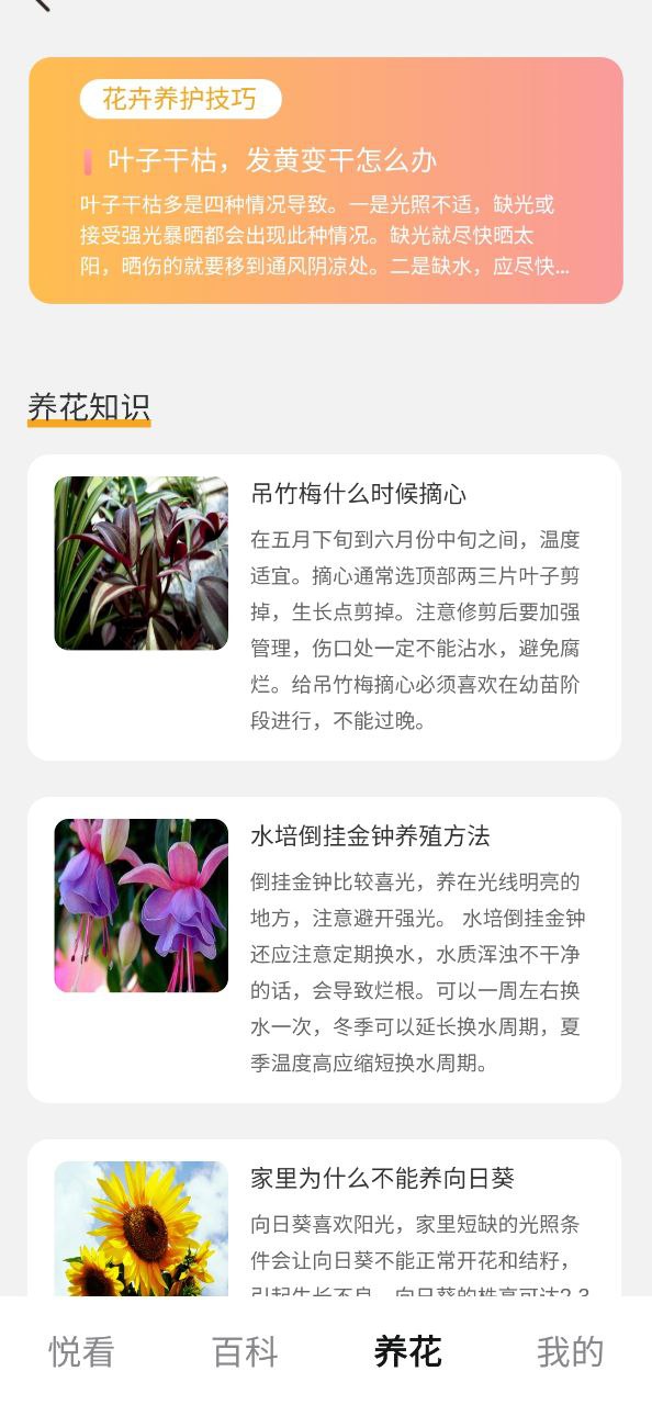 百花悦看app下载安卓_百花悦看应用下载v2.1.1