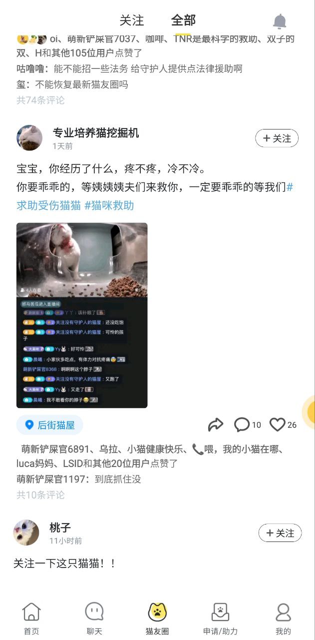 哈啰街猫下载安装更新_哈啰街猫平台手机版v1.19.0