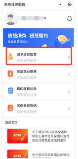 湘税社保安卓软件最新下载安装_湘税社保软件appv1.0.33