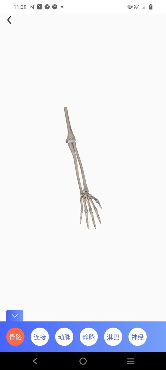 最新版本人体3D解剖图谱_免费下载人体3D解剖图谱v2.4.0