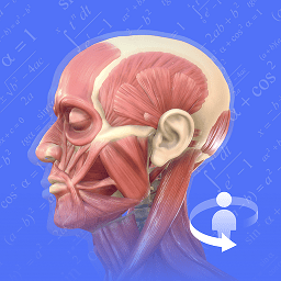 最新版本人体3D解剖图谱_免费下载人体3D解剖图谱v2.4.0