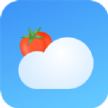 番茄天气安卓软件免费版