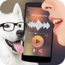 可爱猫狗翻译器最新手机版2024下载_下载可爱猫狗翻译器旧版本v1.0