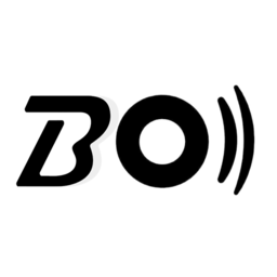 bo系统安卓软件下载_bo系统纯净手机版下载安装v1.1