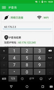 ip查询安卓软件免费下载_ip查询纯净版免费v1.2.7