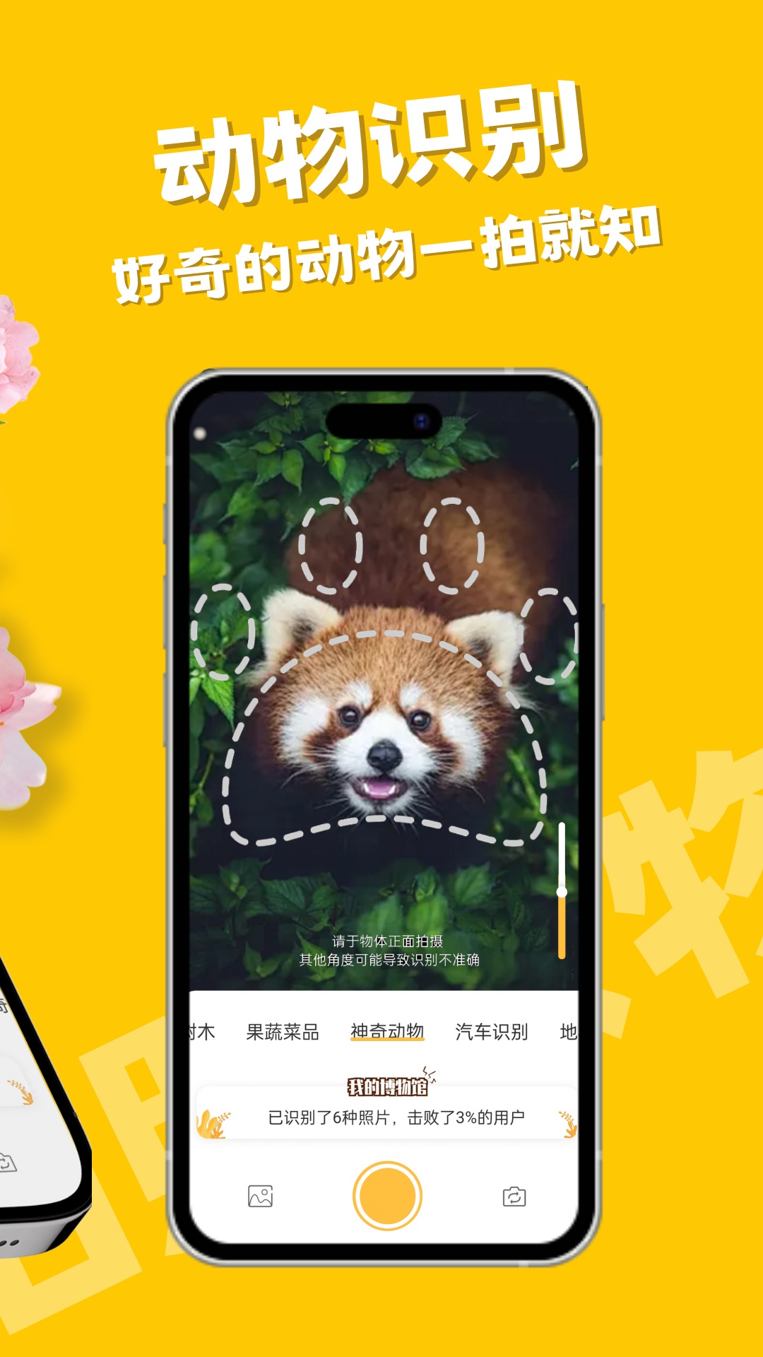 拍照识物android_下载2025拍照识物v1.1.5