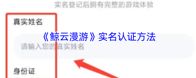 《鲸云漫游》实名认证的步骤与注意事项
