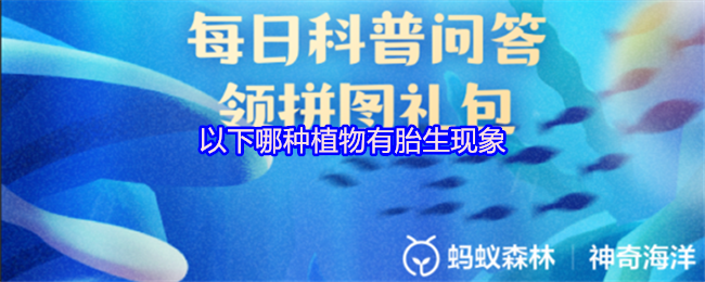 《支付宝》哪种植物展现胎生特性？