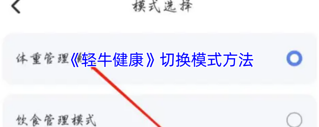 《轻牛》掌握切换模式的技巧与方法