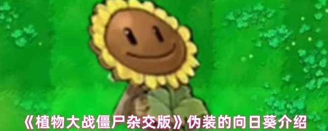 《植物大战僵尸杂交版》伪装向日葵的详细解析