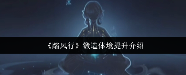 《踏风行》提升锻造体境的全面解析