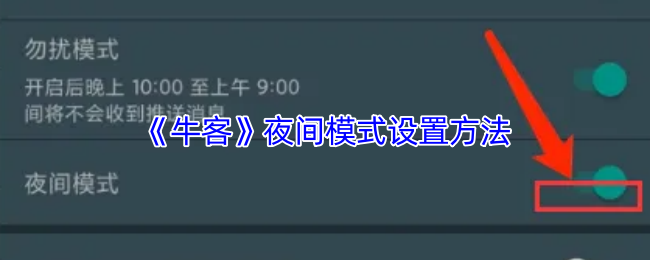 《牛客》夜间模式开启技巧解析