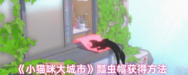 《小猫咪大城市》瓢虫帽获取指南
