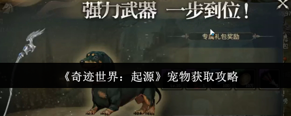 《奇迹世界：起源》获取宠物的方法解析
