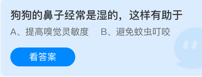 《支付宝》狗狗湿鼻子的原因及其好处解析