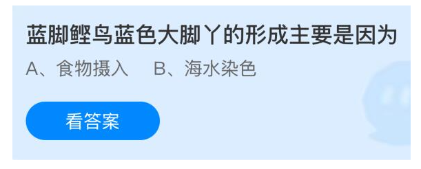 《支付宝》蓝脚鲣鸟的蓝色脚丫形成的原因解析