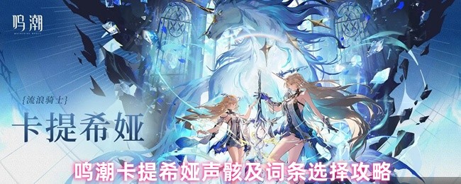 《鸣潮》鸣潮卡提希娅声骸与属性选择指南
