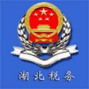 湖北税务安卓版