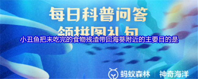 《支付宝》小丑鱼为何将剩余食物带回海葵？探秘其背后原因