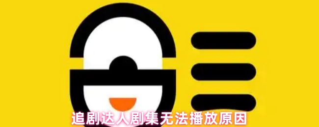《追剧达人》剧集无法播放的原因解析与解决方案