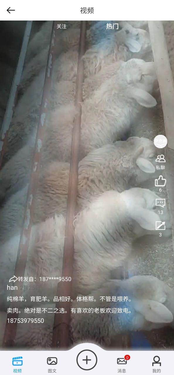 伊克塞安卓版