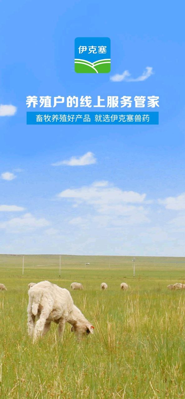 伊克塞安卓版