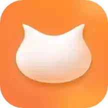 飞猫盘下载安装
