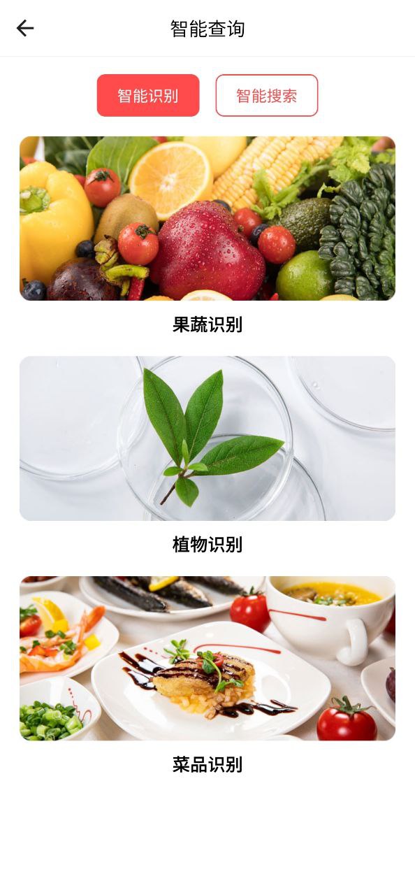 小梦守护安卓