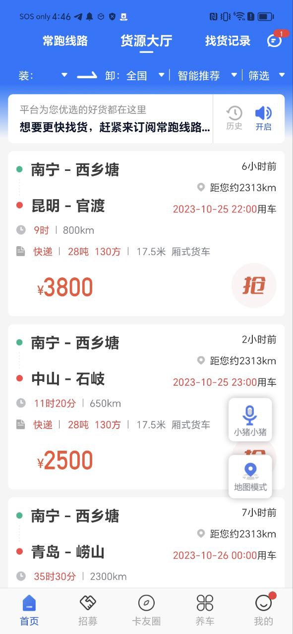 智猪司机