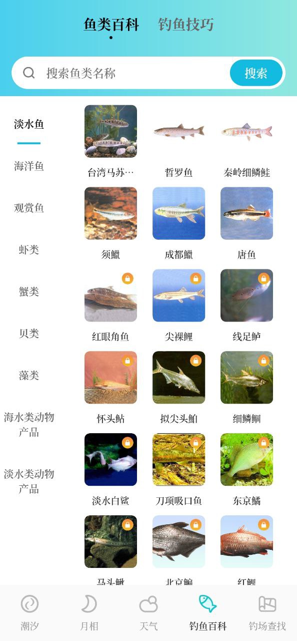 潮汐精灵安卓
