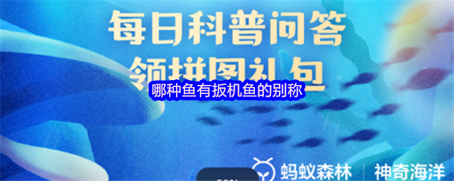 《支付宝》水中扳机鱼的别名揭秘