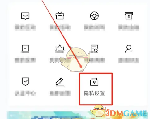 隐私设置界面