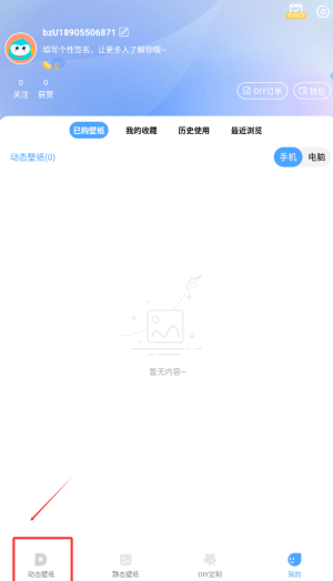 小鸟壁纸界面示例