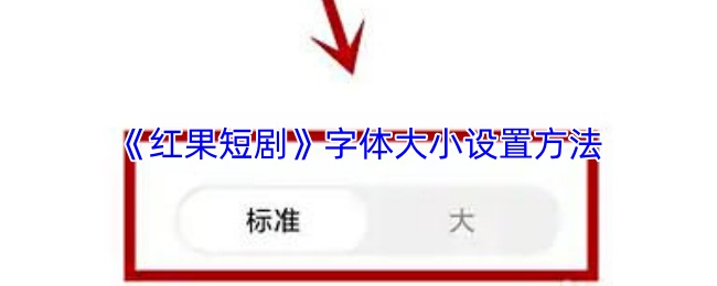《红果短剧》字体调整技巧与指南