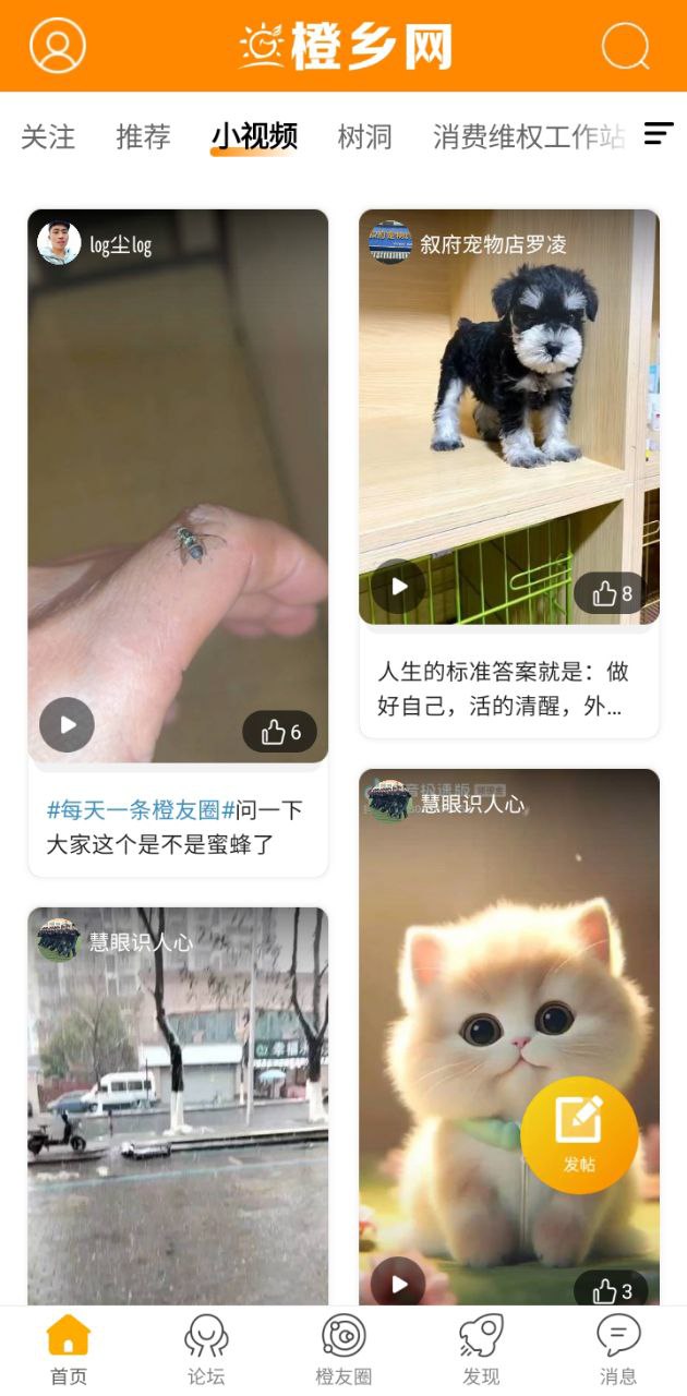 江安橙乡网下载安装
