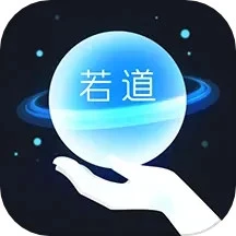 若道软件