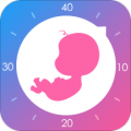 妈妈网孕育app下载（暂无下载）_妈妈网孕育app最新版免费下载