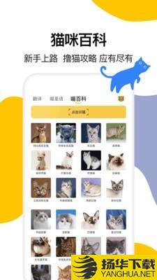 猫语翻译大全下载最新版（暂无下载）_猫语翻译大全app免费下载安装