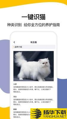 猫语翻译大全下载最新版（暂无下载）_猫语翻译大全app免费下载安装