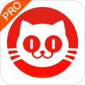 猫眼专业版下载最新版（暂无下载）_猫眼专业版app免费下载安装