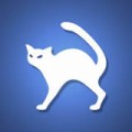 飞猫云下载最新版（暂无下载）_飞猫云app免费下载安装