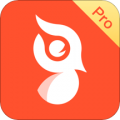 啄木鸟Pro下载最新版（暂无下载）_啄木鸟Proapp免费下载安装