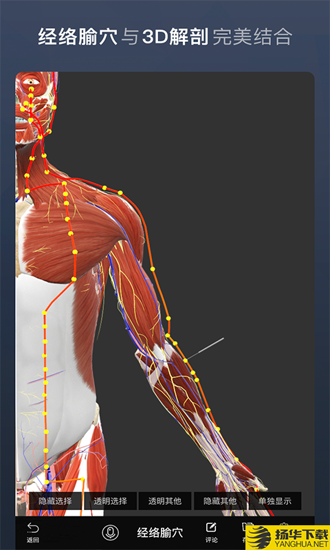维萨里3D解剖下载最新版（暂无下载）_维萨里3D解剖app免费下载安装